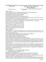 De thi va Dap an HSG Hoa hoc Lop 12 Tinh Quang Tri  Nam hoc 20192020