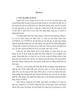 Công tác vận động thanh niên của các đảng bộ xó ở tỉnh cà mau trong giai đoạn hiện nay