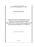 Nghiên cứu sản xuất phân bón vi sinh dạng hạt có khả năng kích thích sinh trưởng từ vi khuẩn bacillus megaterium vacc 118 và chất mang được xử lý chiếu xạ​ 