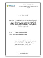 Khảo sát tối ưu hóa một số thông số của quá trình lên men bioethanol từ vỏ chuối bằng phương pháp sscf sử dụng saccharomyces cerevisiae kết hợp với pichia anomala​ 