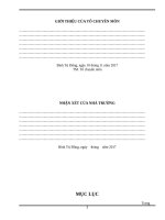 SKKN ỨNG DỤNG ĐỊNH LÍ  VI-ÉT  GIẢI TOÁN CẤP THCS