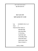 Bài tập lớn Kinh tế vi mô: Phân tích cung cầu dịch vụ quảng cáo Facebook (Giai đoạn 2009-2017)