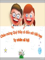 TỰ NHIÊN XÃ HỘI