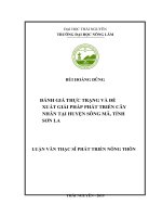 Đánh giá thực trạng và đề xuất giải pháp phát triển cây nhãn tại huyện sông mã, tỉnh sơn la 