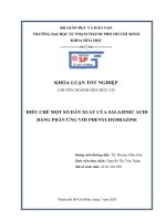 Điều chế một số dẫn xuất của salazinic acid bằng phản ứng với phenylhydrazine 