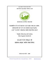 (Luận văn thạc sĩ) Nghiên cứu sử dụng vật liệu Mg Al LDH - Zeolite xử lý các kim loại nặng (Cd2+ và Pb2+) trong môi trường đất