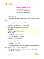 Giáo án Mầm non - Nhà trẻ: Bé biết con gì