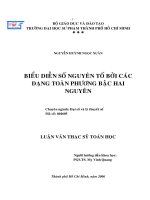 Biểu diễn số nguyên tố bởi các dạng toàn phương bậc hai nguyên 