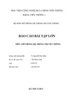 BÁO cáo bài tập lớn môn mô hệ thống truyền thông 