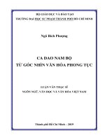 Ca dao nam bộ từ góc nhìn văn hóa phong tục 