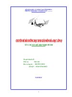 CHUYÊN ĐỀ BỒI DƯỠNG HSG LỚP 8;9 MÔN HÓA HỌC