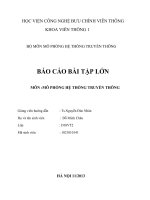 BÁO cáo bài tập lớn môn mô hệ thống truyền thông 