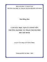 Cảm xúc học tập của sinh viên trường đại học sư phạm thành phố hồ chí minh 