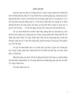 Tiểu luận môn kinh tế môi trường báo động ô nhiễm môi trường đô thị ở việt nam 