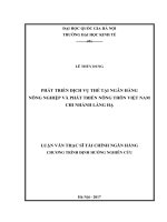 (Luận văn thạc sĩ) phát triển dịch vụ thẻ tại ngân hàng nông nghiệp và phát triển nông thôn việt nam   chi nhánh láng hạ   