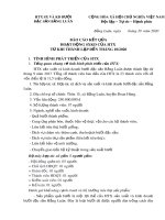 Mẫu Báo cáo kết quả hoạt động sản xuất kinh doanh của hợp tác xã