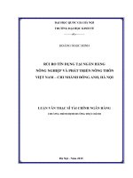 (Luận văn thạc sĩ) rủi ro tín dụng tại ngân hàng nông nghiệp và phát triển nông thôn việt nam   chi nhánh đông anh, hà nội    