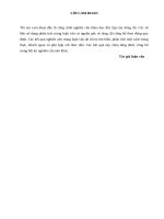 Thực hiện chính sách BV PT rừng phòng hộ trên địa bàn huyện quế sơn, tỉnh quảng nam 