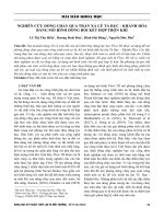 Nghiên cứu dòng chảy qua tràn xả lũ Tà Rục – Khánh Hòa bằng mô hình dòng rối kết hợp trộn khí