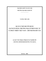 (Luận văn thạc sĩ) quản lý rủi ro tín dụng tại ngân hàng TMCP đầu tư và phát triển việt nam – chi nhánh sơn tây     