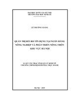 (Luận văn thạc sĩ) quản trị rủi ro tín dụng tại ngân hàng nông nghiệp và phát triển nông thôn khu vực hà nội    