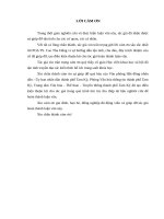 Thực hiện chính sách bảo tồn và phát huy các giá trị di sản văn hóa trên địa bàn thành phố tam kỳ 