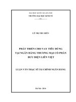 (Luận văn thạc sĩ) phát triển cho vay tiêu dùng tại ngân hàng thương mại cổ phần bưu điện liên việt    