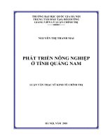 (Luận văn thạc sĩ) phát triển nông nghiệp ở tỉnh quảng nam   