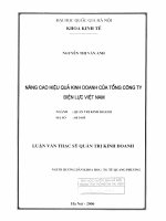 (Luận văn thạc sĩ) nâng cao hiệu quả kinh doanh của tổng công ty điện lực việt nam    