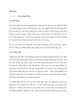 kỹ năng làm việc theo nhóm môn tin học lớp 5 