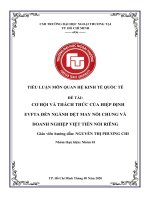 Nhóm 1 dệt may tiểu luận