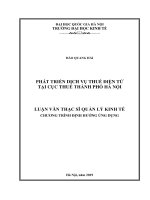 (Luận văn thạc sĩ) phát triển dịch vụ thuế điện tử tại cục thuế thành phố hà nội     