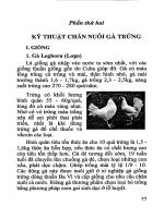 Hướng dẫn kỹ thuật nuôi gà thịt, gà trứng ở hộ gia đình: Phần 2