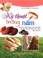 Cẩm nang hướng dẫn kỹ thuật trồng nấm: Phần 1