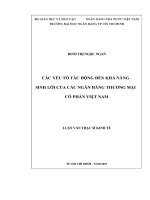 (Luận văn thạc sĩ) các yếu tố tác động đến khả năng sinh lời của các ngân hàng thương mại cổ phần việt nam 