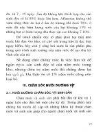 Hướng dẫn kỹ thuật chăn nuôi vịt thịt, vịt trứng trong hộ gia đình: Phần 2