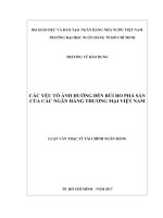 (Luận văn thạc sĩ) các yếu tố ảnh hưởng đến rủi ro phá sản của các ngân hàng thương mại việt nam 