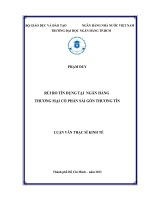 (Luận văn thạc sĩ) rủi ro tín dụng tại ngân hàng thương mại cổ phần sài gòn thương tín002 