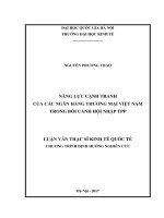(Luận văn thạc sĩ) năng lực cạnh tranh của các ngân hàng thương mại việt nam trong bối cảnh hội nhập TPP   quốc tế 