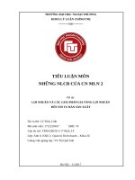 TIỂU-LUẬN-NGUYÊN-LÍ-2