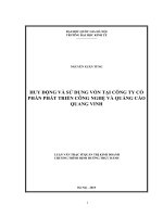 (Luận văn thạc sĩ) huy động và sử dụng vốn tại công ty cổ phần phát triển công nghệ và quảng cáo quang vinh    