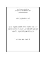 (Luận văn thạc sĩ tài chính ngân hàng) quản trị rủi ro tín dụng trong cho vay khách hàng cá nhân tại ngân hàng TMCP sài gòn  chi nhánh quảng ninh