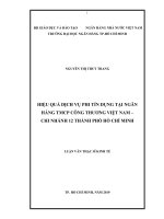 (Luận văn thạc sĩ) hiệu quả dịch vụ phi tín dụng tại ngân hàng TMCP công thương việt nam   chi nhánh 12 thành phố hồ chí minh 