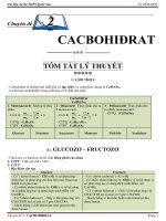 Chuyên đề 2   CACBOHIDRAT