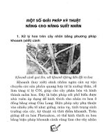 Cẩm nang hướng dẫn kỹ thuật trồng và chăm sóc Nhãn: Phần 2