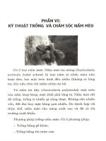 Cẩm nang hướng dẫn kỹ thuật trồng nấm: Phần 2
