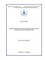(Luận văn thạc sĩ) rủi ro tín dụng tại ngân hàng thương mại cổ phần sài gòn thương tín003 