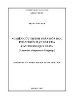 (Luận văn thạc sĩ) nghiên  cứu thành phần hóa học phần trên mặt đất của cây phong quỳ sapa (anemone chapaensis gagnep ) 
