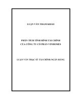 PHÂN TÍCH TÌNH HÌNH TÀI CHÍNH CỦA CÔNG TY CỔ PHẦN VINHOMES