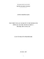 (Luận văn thạc sĩ) phát triển năng lực giải quyết vấn đề cho học sinh thông qua dạy học chương sự điện li   hóa học lớp 11 nâng cao   